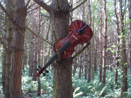 Violin in tree